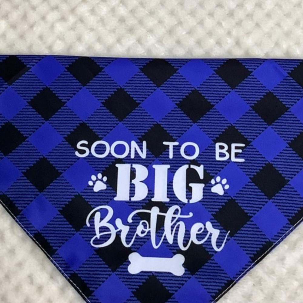 Blue Dog Bandana Soon To Be Big Brother with Bone Design